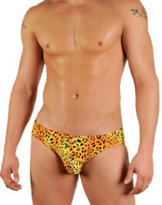 Gary Majdell Sport Print Contour Pouch Bikini